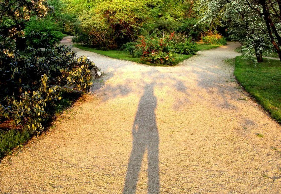 Chosen path