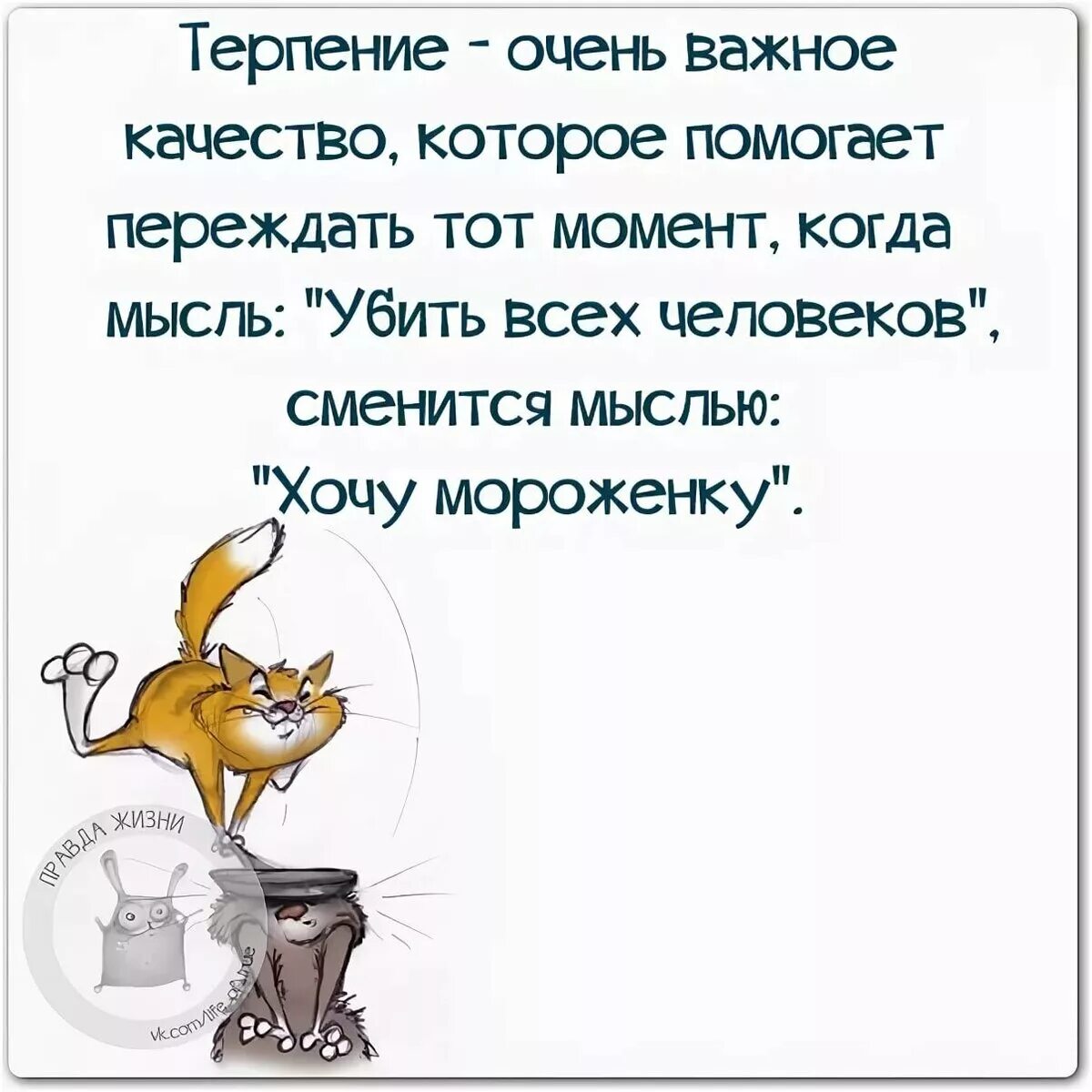 Статус прикольный со смыслом. Прикольные высказывания. Смешные афоризмы. Афоризмы про жизнь смешные. Цитаты о жизни с юмором.