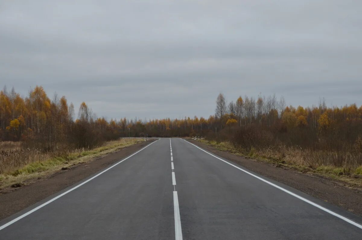 Велиж псков. Псков смоленск. Ольша-велиж-усвяты-невель. Западная двина велиж. Велиж псков.