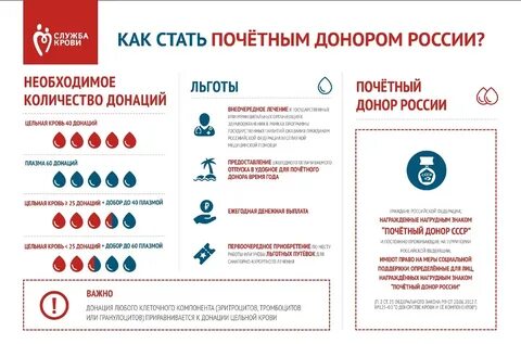 Сколько обязательно нужно сдать