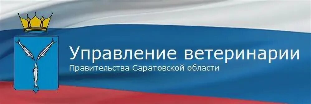 Советский управление образования саратовская область. Управление ветеринарии Саратов. Управление ветеринарии правительства Саратовской области. Саратовский сайт ветеринарии.