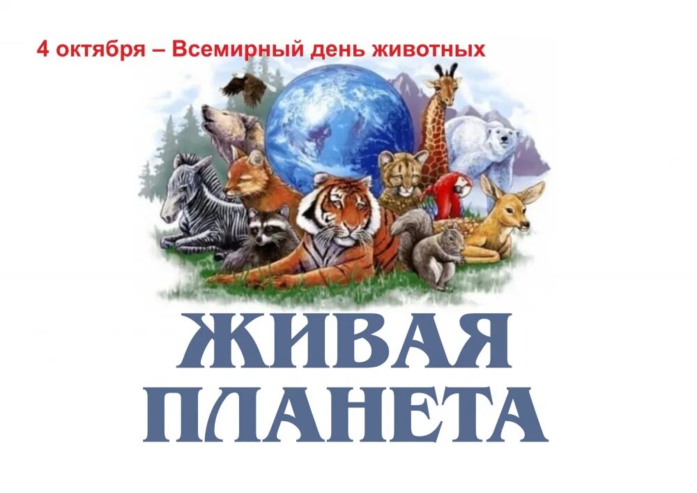 День живой планеты. Книжная выставка Живая Планета. Всемирный день защиты животных. Всемирный день животных 4 октября. Живая Планета Живая душа выставка в библиотеке.