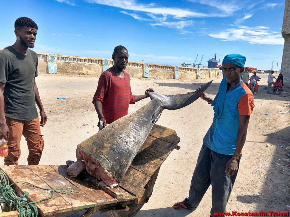 Особенности сомали страны. Сомали Могадишо. Сомали Могадишо рыбный рынок.