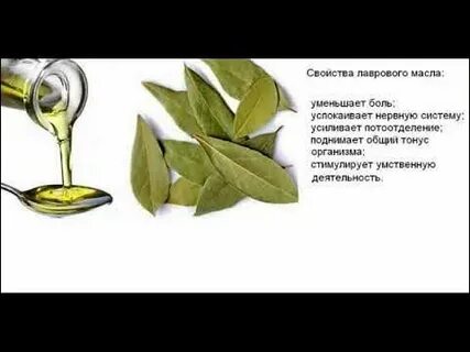 Приготовление масла лаврового листа