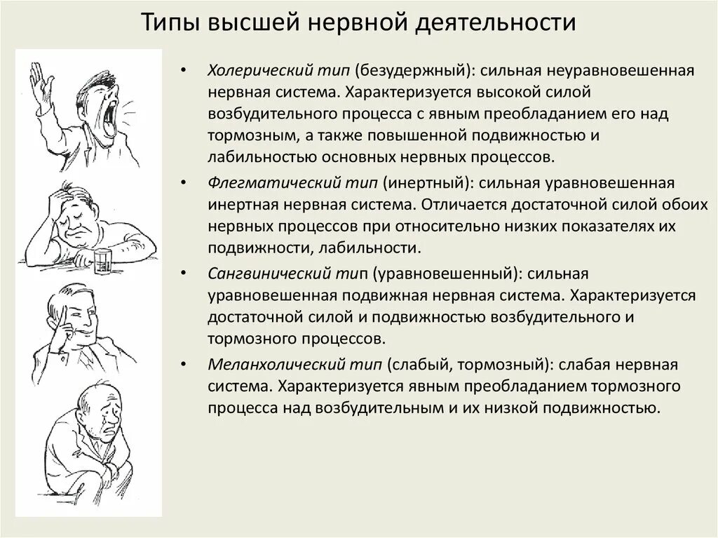 Признаки специфической нервной деятельности. Типы высшей нервной деятельности ВНД. Характеристика типов высшей нервной деятельности человека. Специфические человеческие типы ВНД. Характеристики слабого типа высшей нервной деятельности.