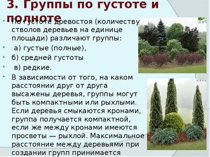 Ландшафтная характеристика