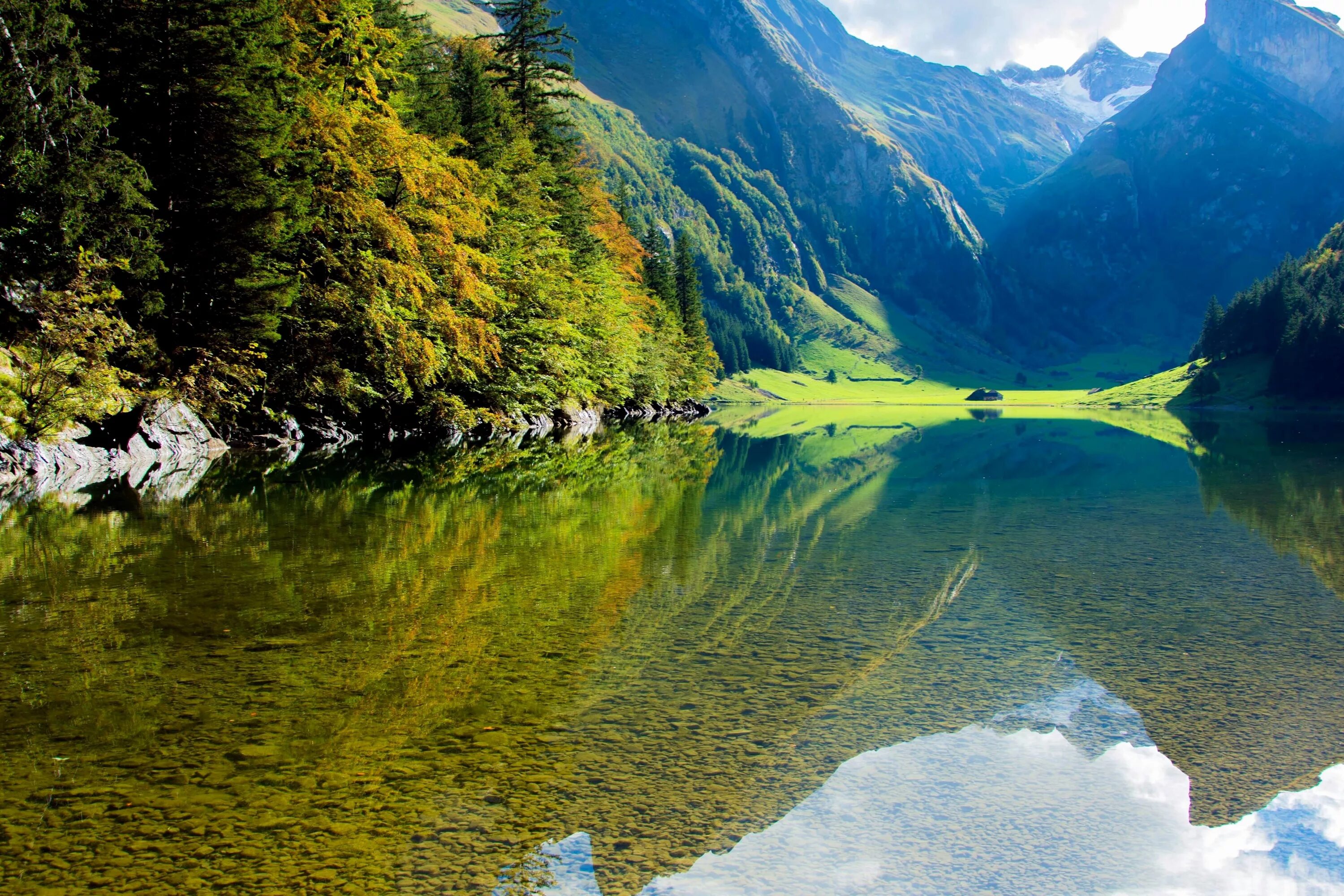 Красивые виды озера. Озеро Шапор Швейцария. Швейцария Альпы лес. Озеро Арненси Швейцария. Озеро Зееальп, Швейцария.