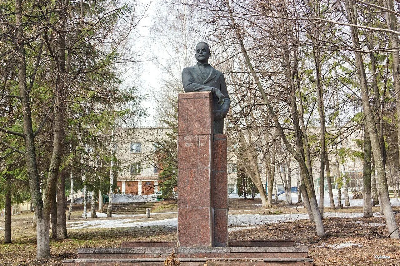 Больница семашко история. Больница семашко пенза. памятник семашко на большой пироговской. больница семашко ярославль. семашко тула памятники.