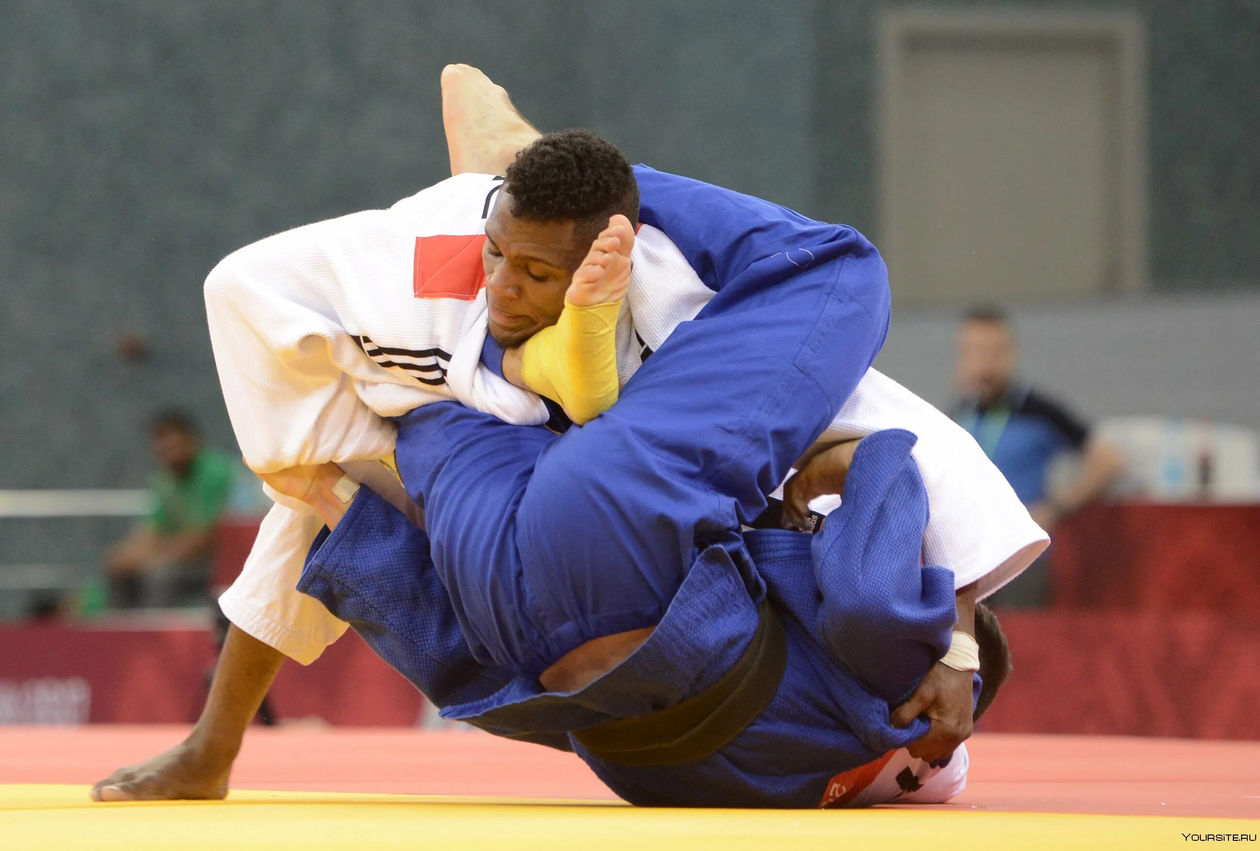 Сёхэй оно дзюдо. Никон гаврилов. Ijf дзюдо. Кузеванов арсений дзюдо. Judo uzbekistan tashkent 2021.