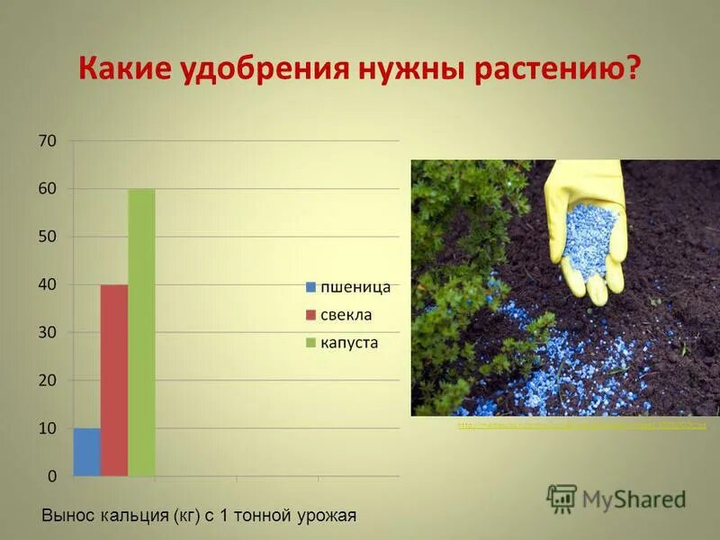 Тест удобрения 6 класс