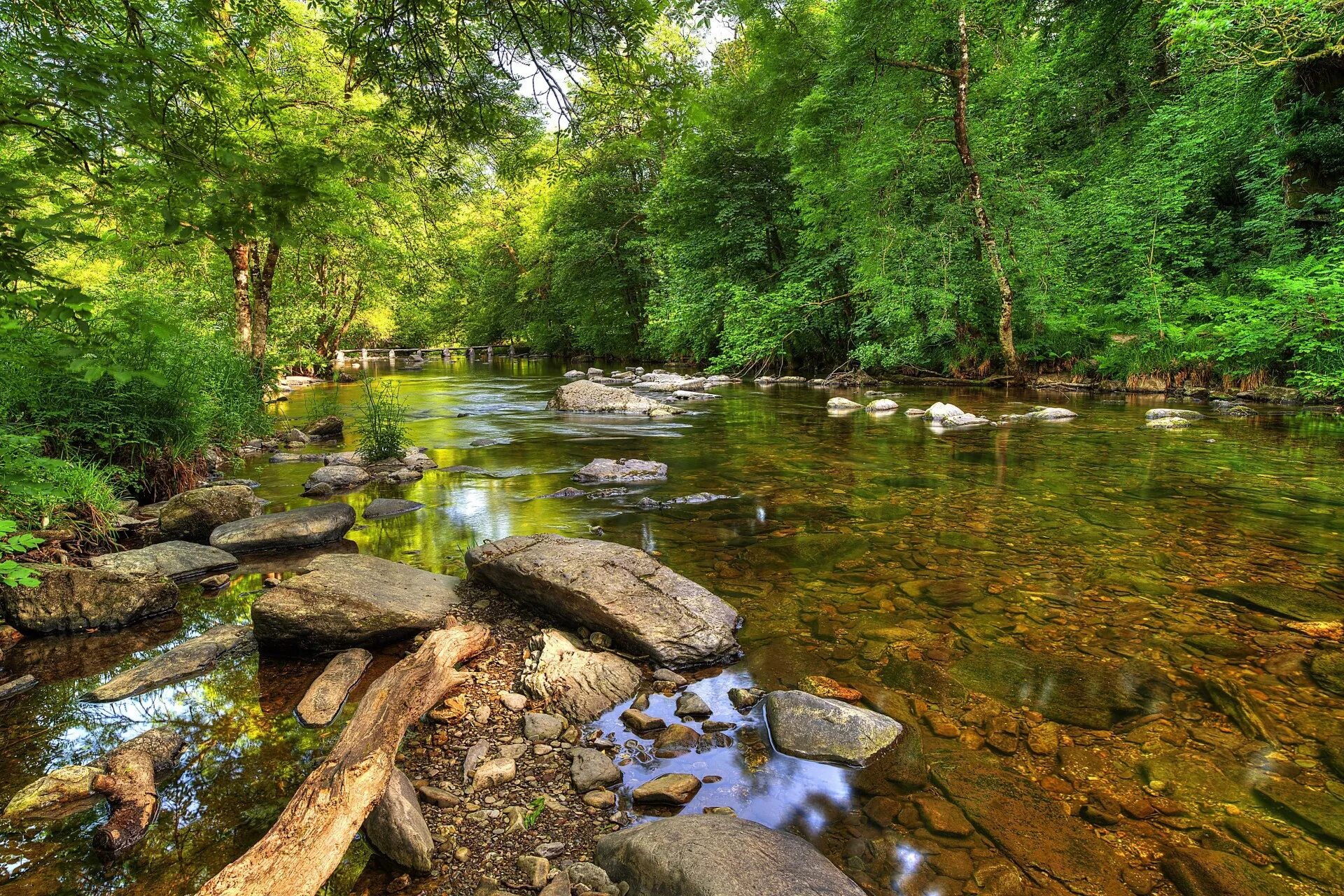 Обои на телефон река. Green River река. Лесная река. Речка в лесу. Берег реки в лесу.