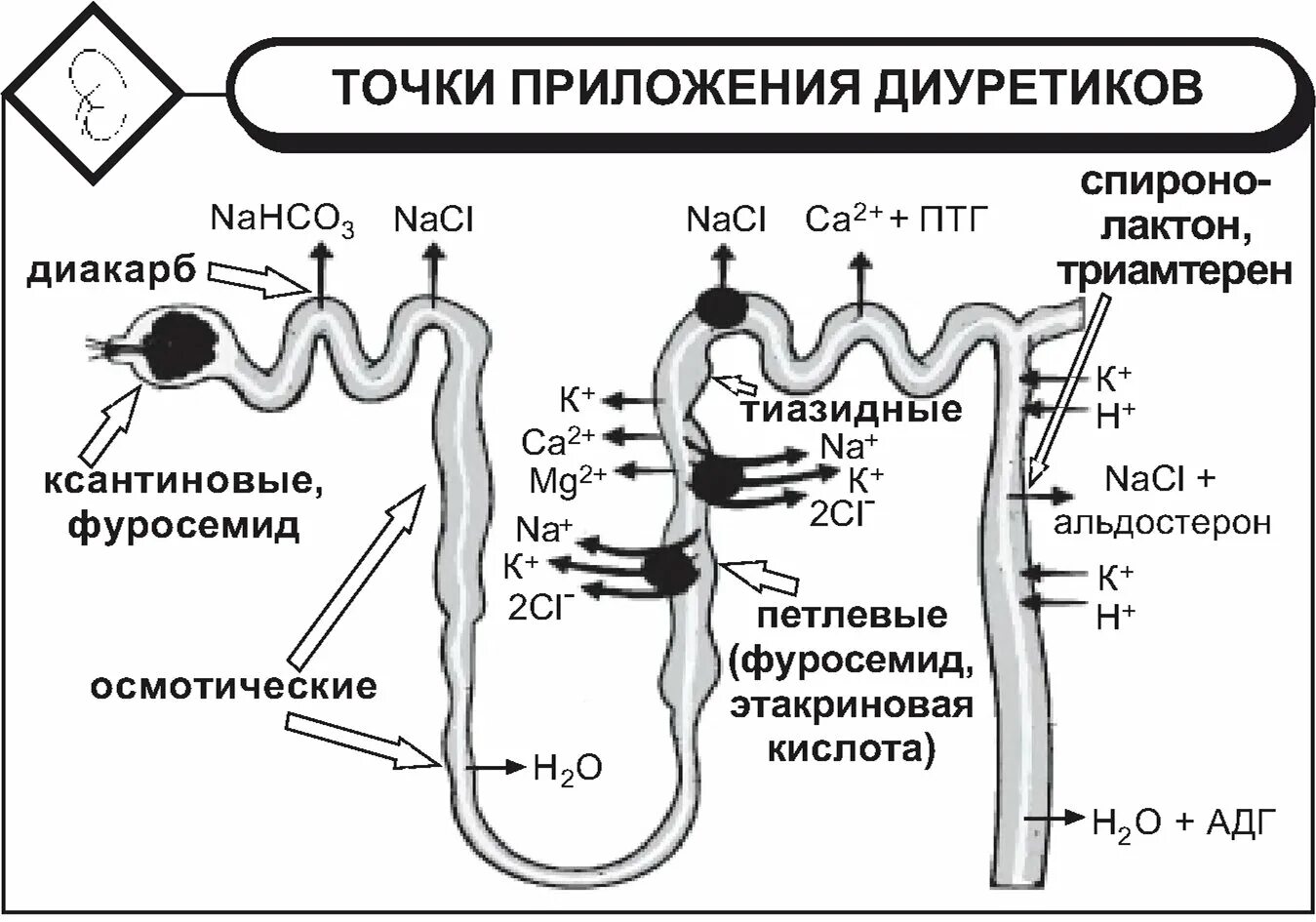 Пример точки приложения