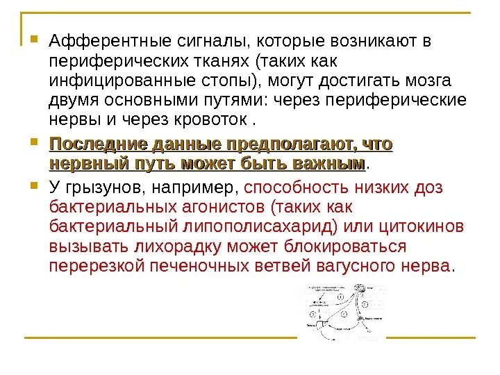 Афферентация это. Афферентные сигналы. Корректирующих афферентных сигналов. Путь афферентного сигнала. Афферентная система.