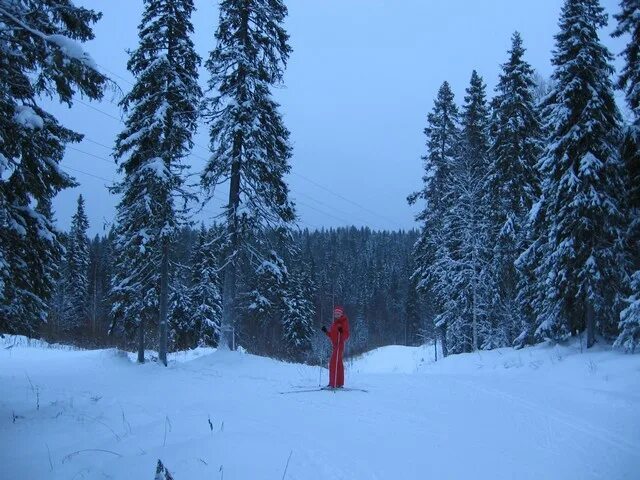 малые карелы архангельск лыжные трассы. стадион малые карелы. малые карелы архангельск лыжный стадион трассы. лыжный стадион малые карелы архангельск. карта лыжных трасс малые карелы.