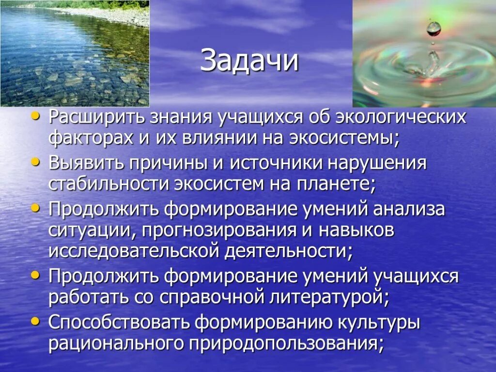 Влияние человека на экосистемы 11 класс биология. Факторы воздействия на экосистемы. Влияние деятельности человека на экосистему. Антропогенное воздействие на экосистемы. Экологические факторы влияния на биогеоценоз.