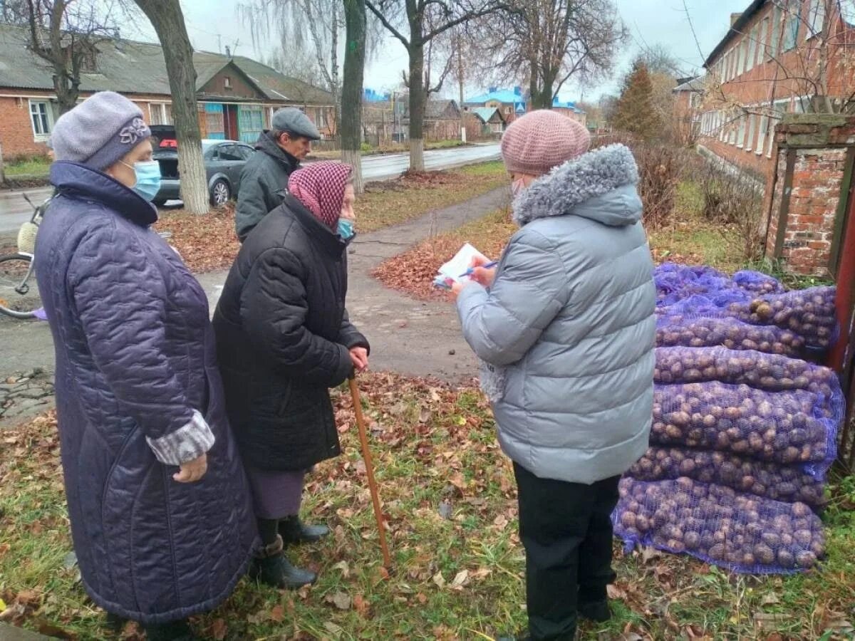 В сентябре был собран рекордный. Раздача картошки праздник.