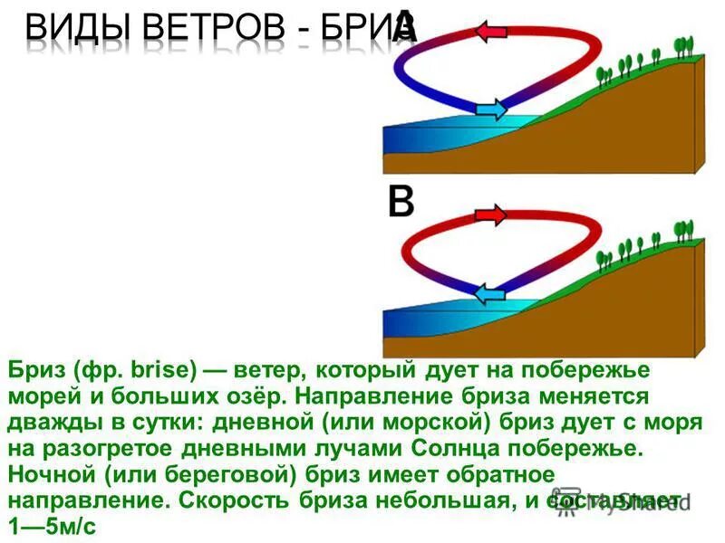 Виды ветра. Типы ветров. Виды ветра названия. Бриз ветер.