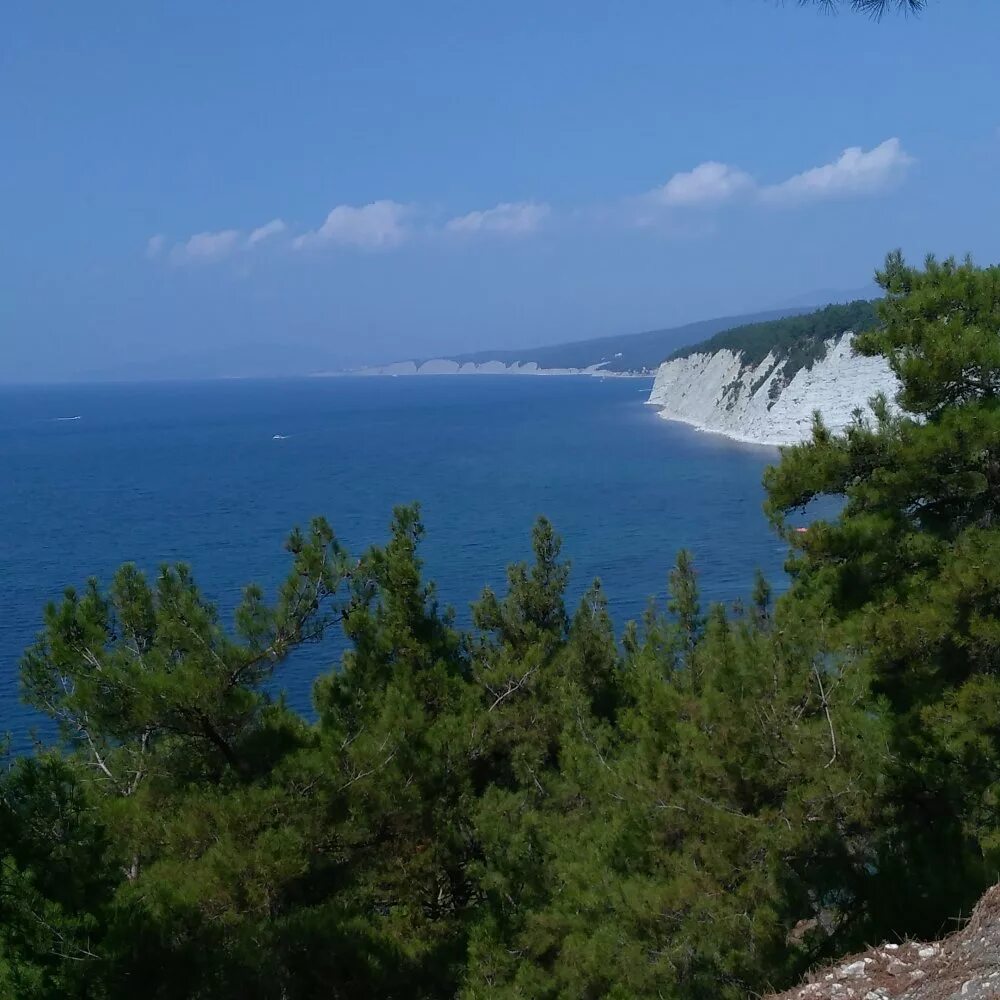 Дивноморское отдых у моря. Дивноморское Краснодарский край. Село Дивноморское. Дивноморск море. Дивноморское ландшафт.