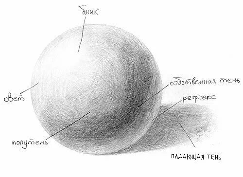 Свет тень на шаре. Свет полутень тень рефлекс в рисунке. Свет тень полутень рефлекс блик в рисунке. Свет тень полутень рефлекс блик в рисунке карандашом. Свет тень полутень рефлекс блик в рисунке куб.
