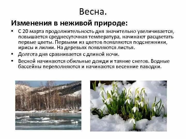 Изменения февраля. Сезонные изменения Весна. Весенние изменения в природе. Изменения весной. Изменения в неживой природе весной.