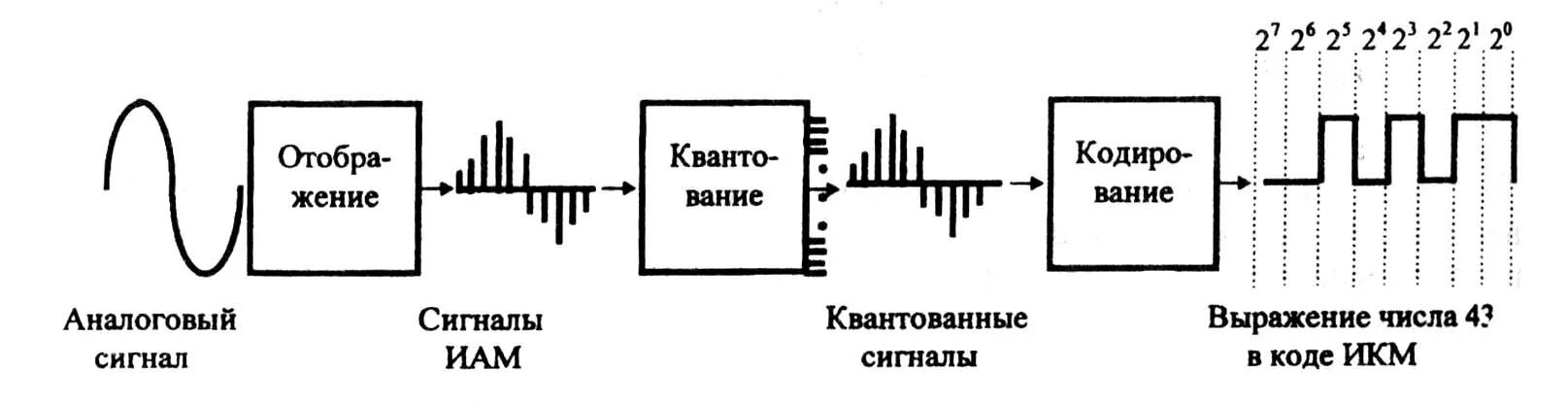 Процесс преобразования звука. Аналоговый сигнал - цифровой сигнал схема. Импульсно кодовая модуляция схема. Схема аналого-цифрового преобразования звукового сигнала. Схема дискретного цифрового сигнала.