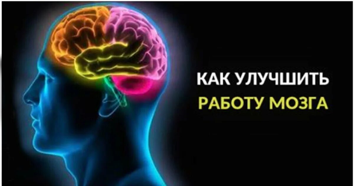 Мозг память. Улучшение работы мозга. Мозг улучшение памяти. Развиваем мозг.