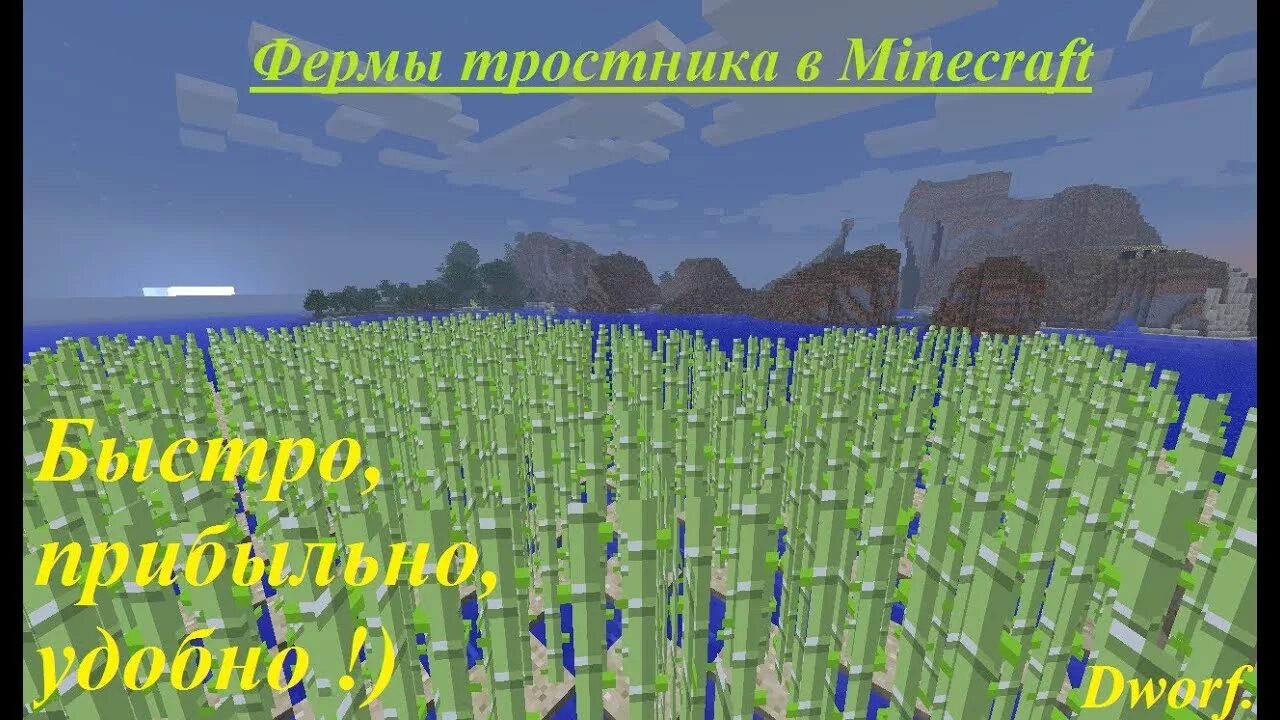 Бесконечная ферма тростника. Автоферма тростника. Ферма тростника 1.16.5. Автоматическая ферма тростника. Ферма тростника схема.