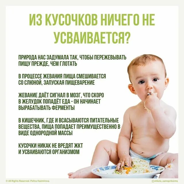 Прикорм малыша в 4 месяца схема. Блв прикорм. Схема прикорма с 6 месяцев. Ввод прикорма при грудном вскармливании с 6 месяцев. Самоприкорм blw.