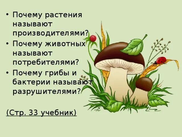 Животных называют потребителями так как. Почему растения называют производителями. Почему растение назвали. Почему грибы Разрушители. Грибы и бактерии 3 класс.