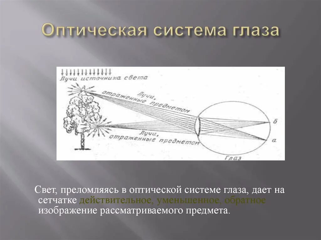 3 оптическая система глаза. Оптическая система глаза. Оптическая система глаза с точки зрения физики. Оптическая система глаза картинка. Глаз как оптическая система свет преломляясь в оптической...