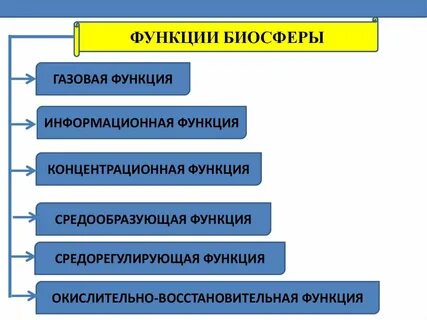 Перечисли не менее