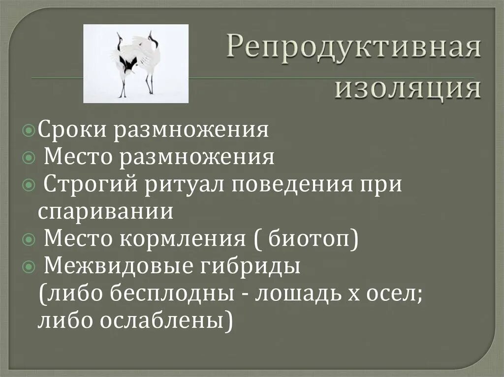 Результат ослабления репродуктивной изоляции между видами. Репродуктивная изоляция примеры. Примеры репродуктивной изоляции в биологии. Виды репродуктивной изоляции с примерами. Факторы репродуктивной изоляции.