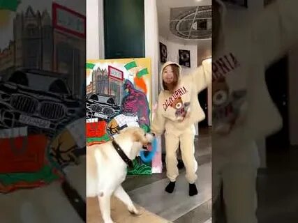 Хаметова песик