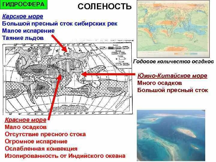 Причины солености морей. Карта солености вод северного ледовитого океана. Соленость карского. Соленость средиземного моря. Карта солености северного ледовитого океана.