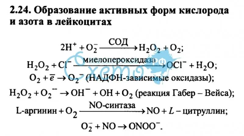 Реакция кислорода с азотом 5