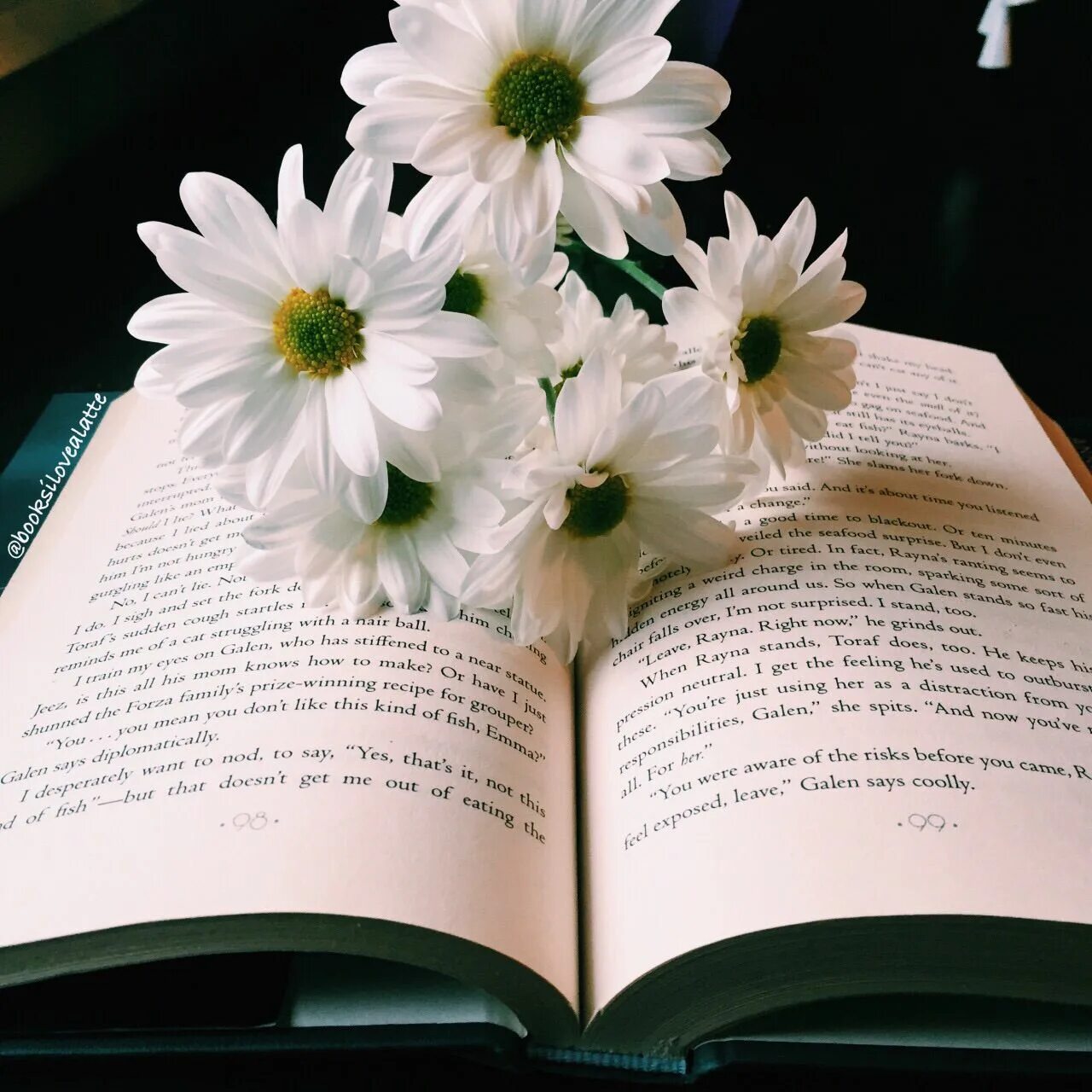 Книжка и цветок. Книги цветы фон. Книга это цветок. Книга это цветок. Книга с цветами.