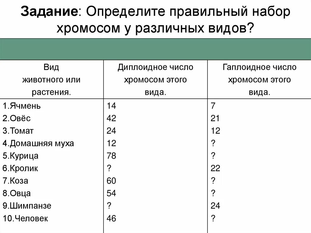 Определите число хромосом в клетках шимпанзе. Определите правильный набор хромосом у различных видов. Число хромосом у разных видов животных. Число хромосом у разных видов животных и растений. Набор хромосом ху животных таблицага.