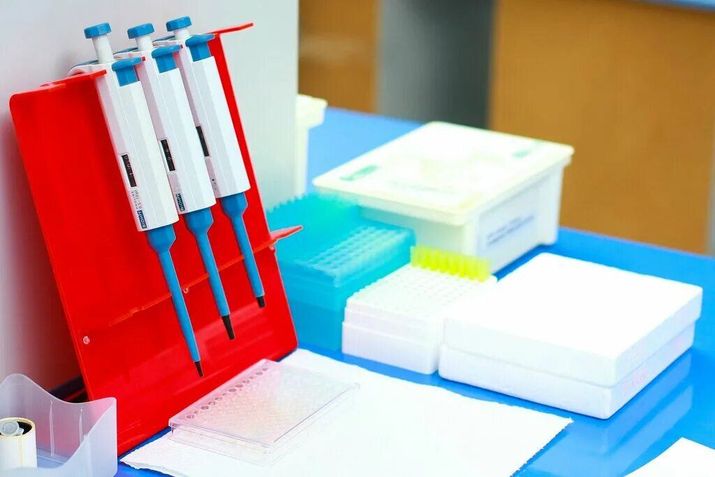 Лаборатория славянск. Cl lab. Славянск на кубани дзержинского 243 центр эпидемиологии. Пекарня крафт славянск на кубани. Лаборатория славянск.