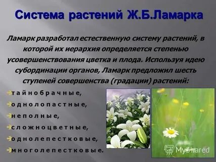 Растения троя