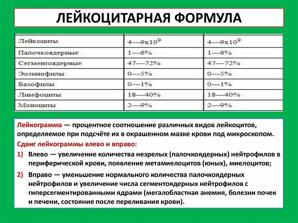 Анализ крови с лейкоцитарной формулой норма. Лейкоцитарная формула крови расшифровка показателей. Показатели лейкоцитарной формулы крови. Нормы абсолютных показателей лейкоцитарной формулы. Лейкоцитоз формула