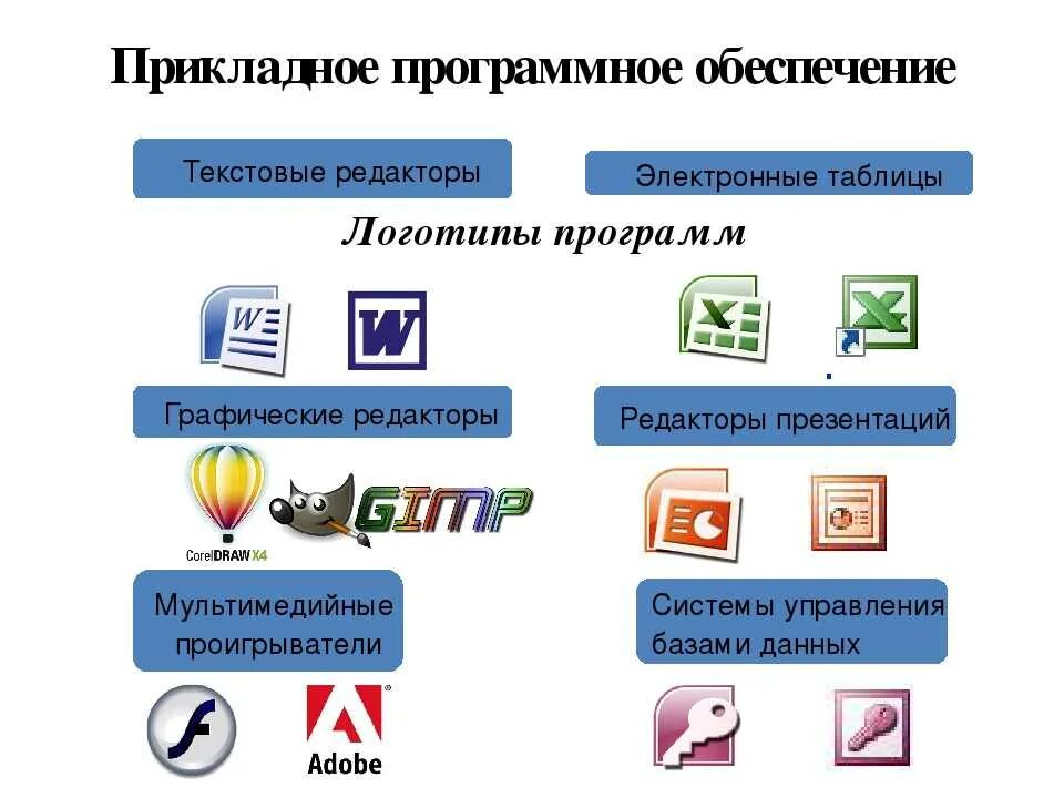 Каково назначение программного обеспечения