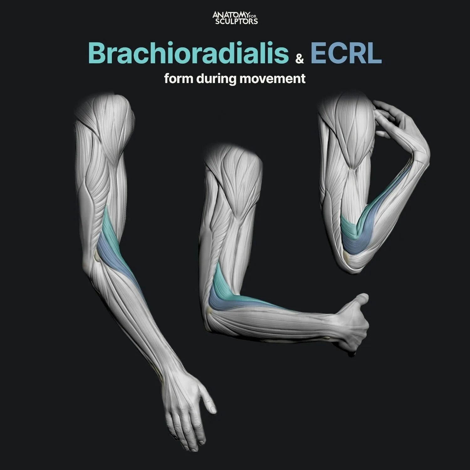 Earthquake иллюстрация. During movement. Схемы движений в цигун. Air trap copd. Muscle fiber contraction.