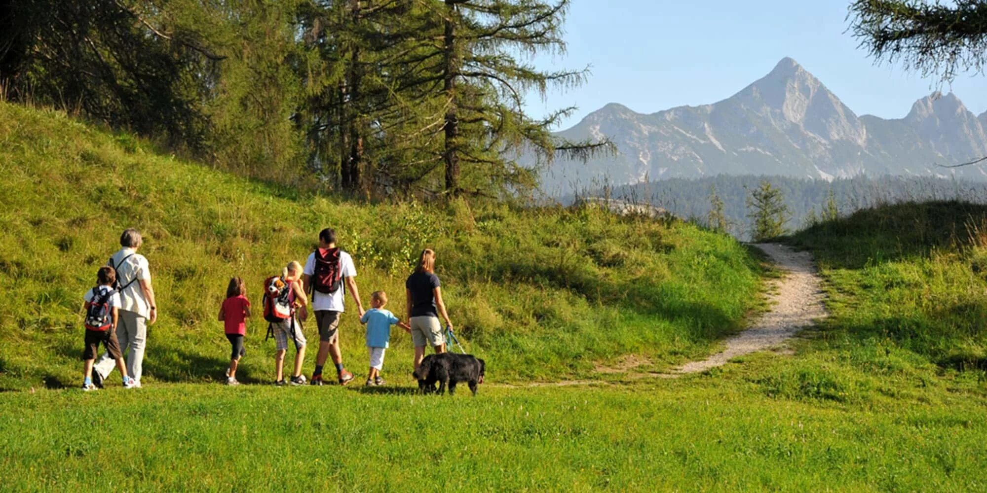 Прогулка для здоровья. Семья на велосипедах. Бег трусцой (джоггинг). Семейная прогулка на велосипедах. Прогулки зож.