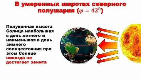 Почему в северном полушарии вылавливают больше рыбы