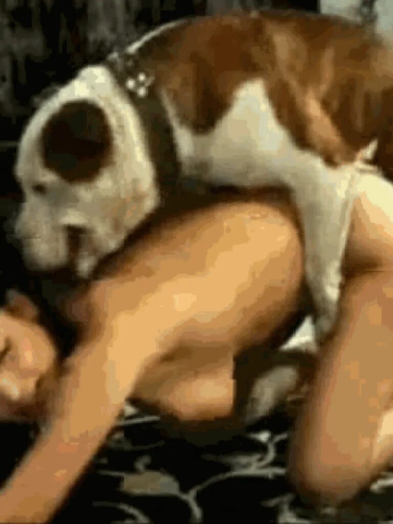 Порно С Живтными