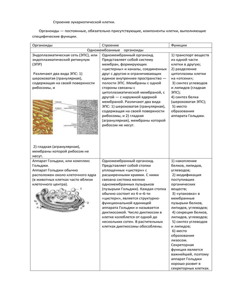 Строение и функции органоидов эукариотической клетки. Строение эукариотической клетки. Органоиды клетки. Строение органоидов эукариотической клетки таблица. Функции органоидов эукариотической клетки. Таблицу органоиды эукариотической клетки