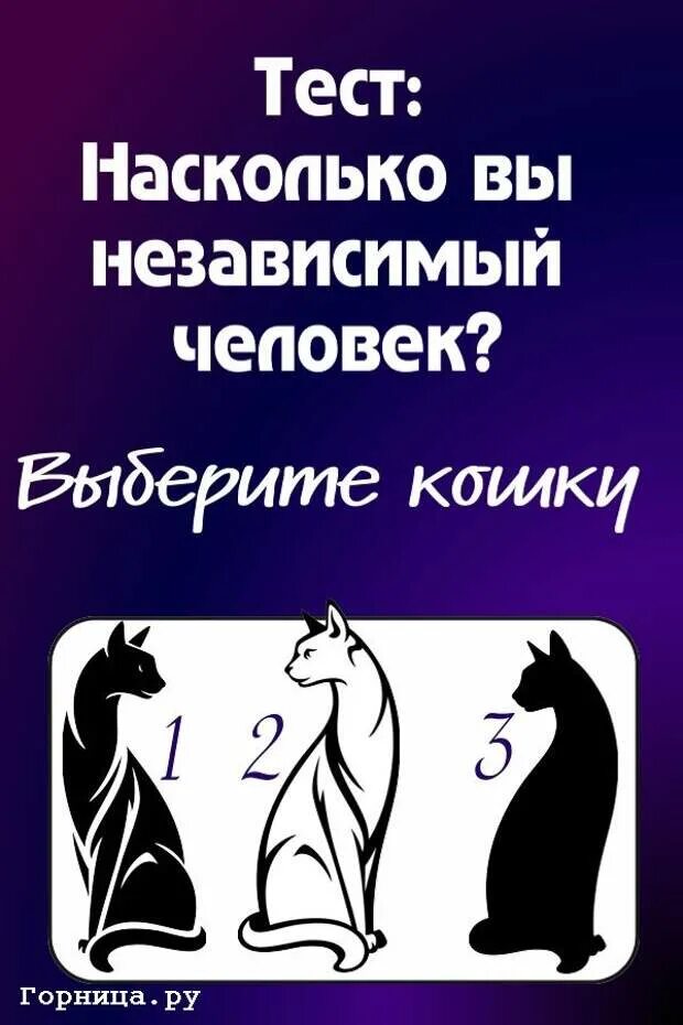 Независимый человек. Независимая личность. Тест насколько независимый человек выбрать кошку. Тест на сколько вы независимы.