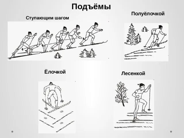 3 2 1 подъем. Техника спусков и подъёмов на лыжах. Техника лыжных ходов подъемов спусков. Техника спуска и подъёма на склон на лыжах. Виды подъемов на лыжах.