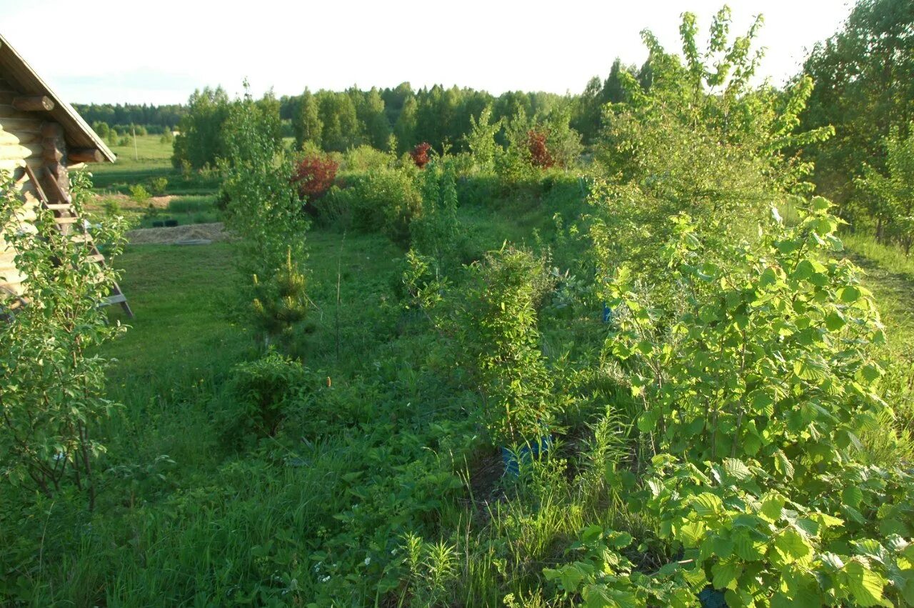 Земля в добрые руки. Прп Миродолье Пермакультура. Миродолье Сергиев Посад. Пермакультурные эко посиления. Экопоселение добрая земля.