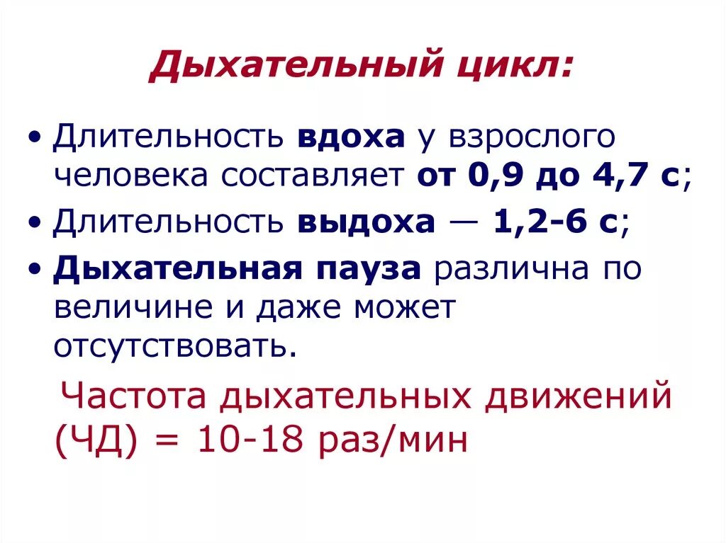 Перечислите элементы составляющие. Понятие дыхательного цикла. Фазы дыхательного цикла. Дыхательный цикл состоит из. Длительность дыхательного цикла.